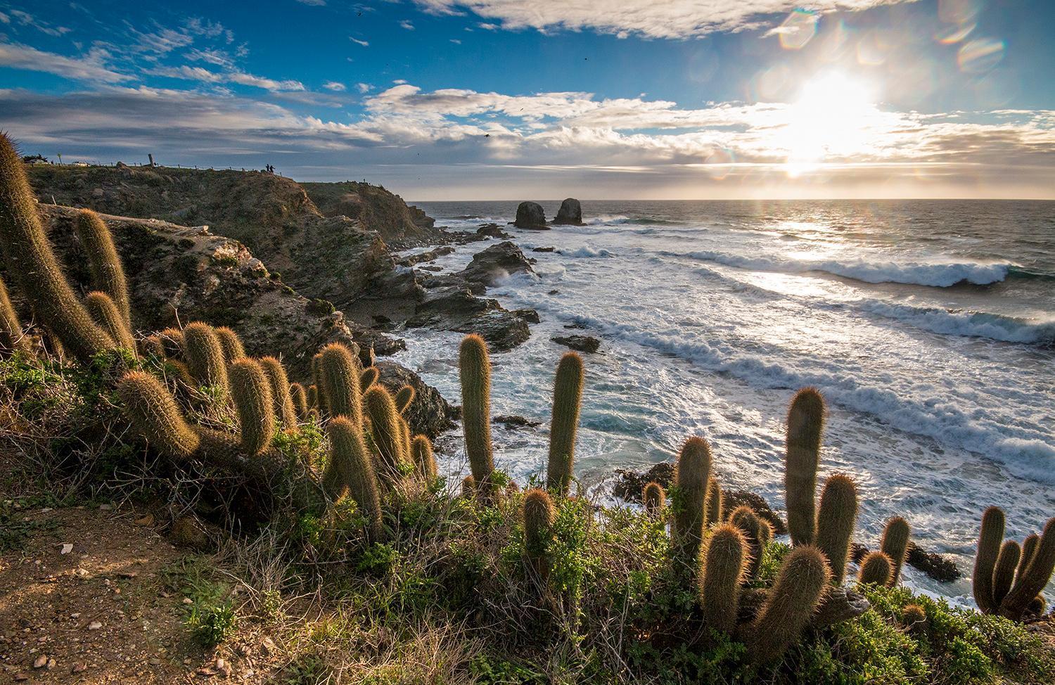 Hotel Alaia Pichilemu Exteriér fotografie