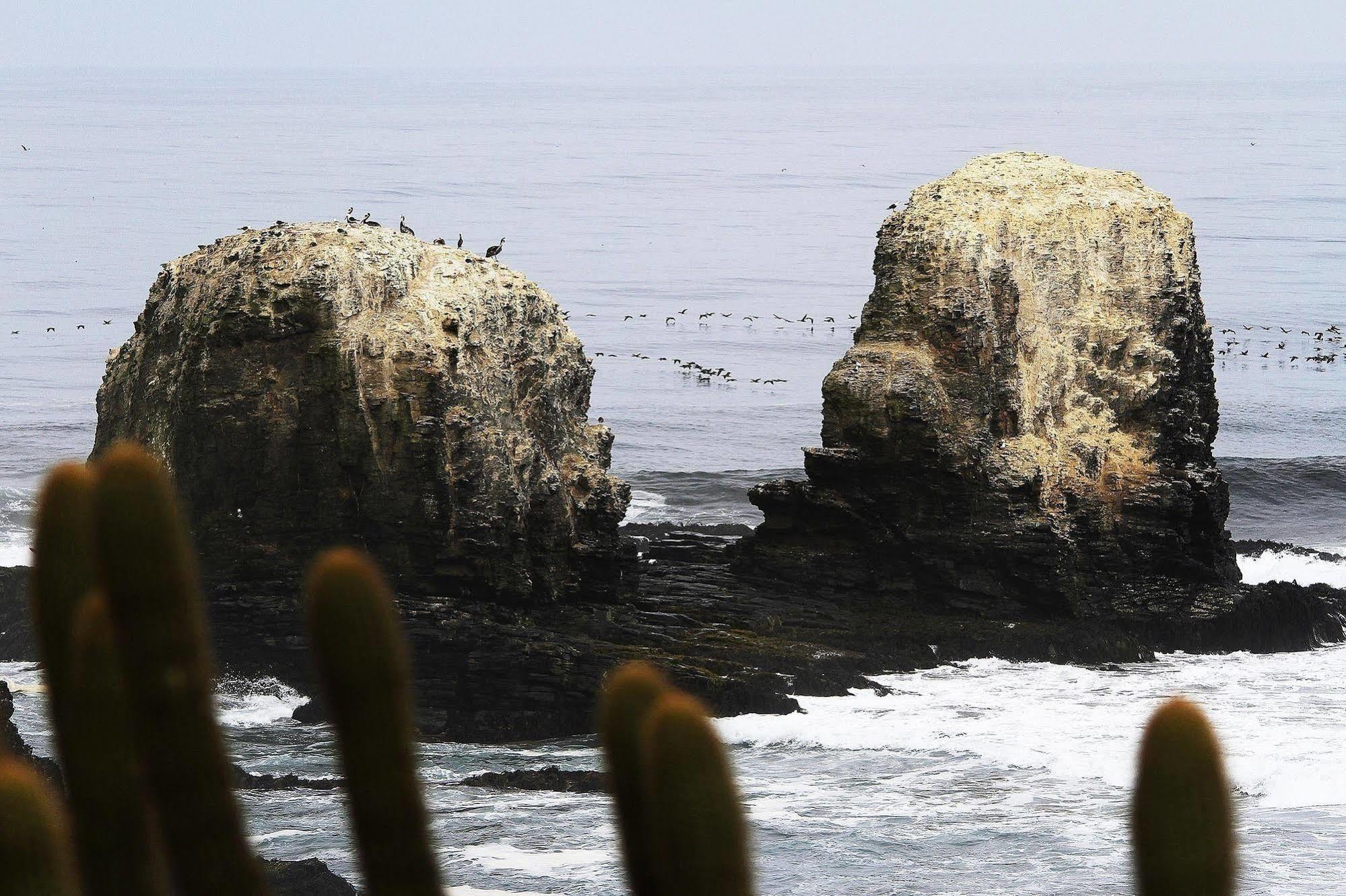 Hotel Alaia Pichilemu Exteriér fotografie